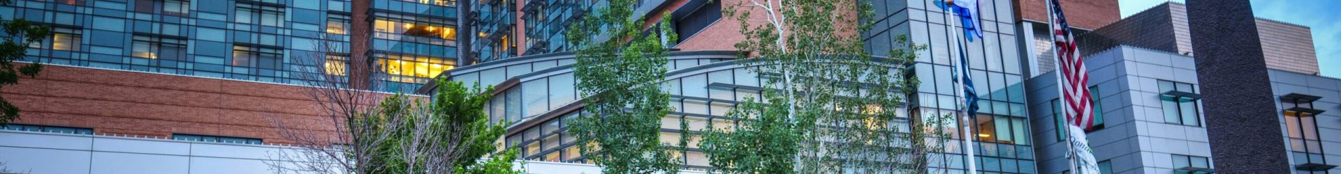 Energy in Healthcare